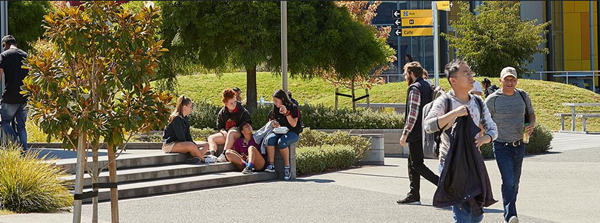 1611287486260295.png 3.png