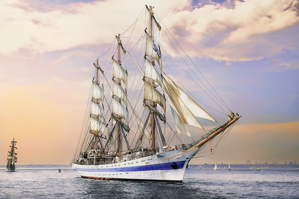 1611811242114361.jpg 1.jpg