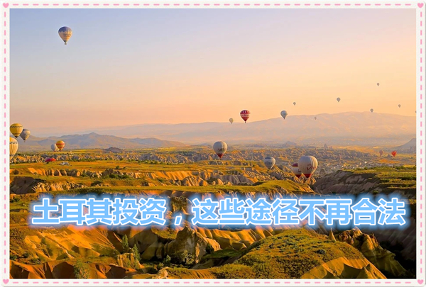 1617154227470374.jpg 3.jpg