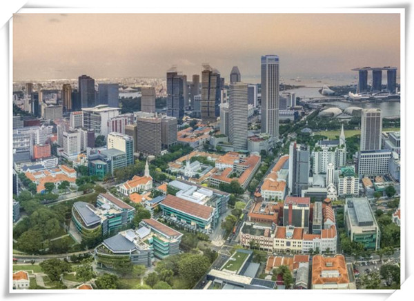 1626326830784165.jpg 2.jpg