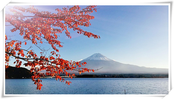 1627523518882533.jpg 3.jpg